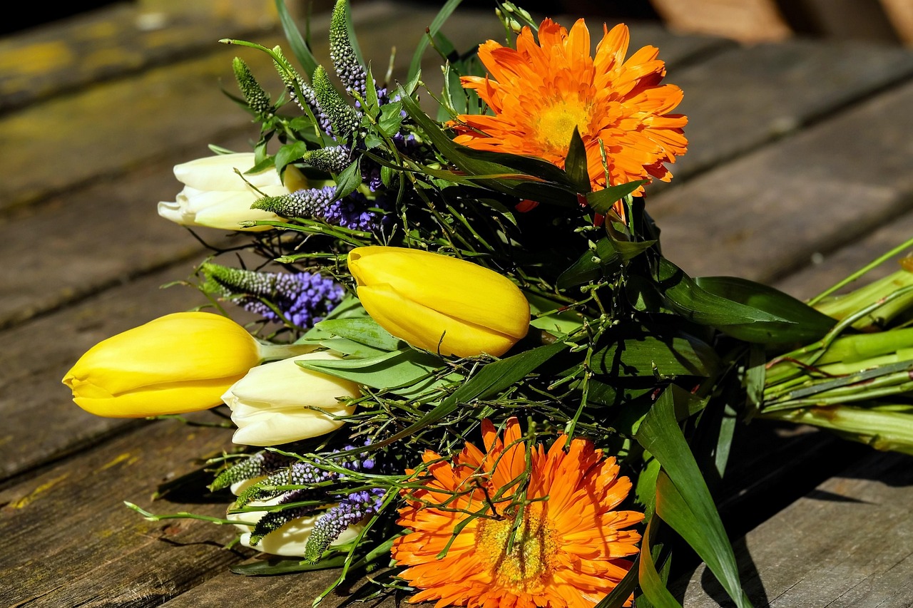 Beautiful flower