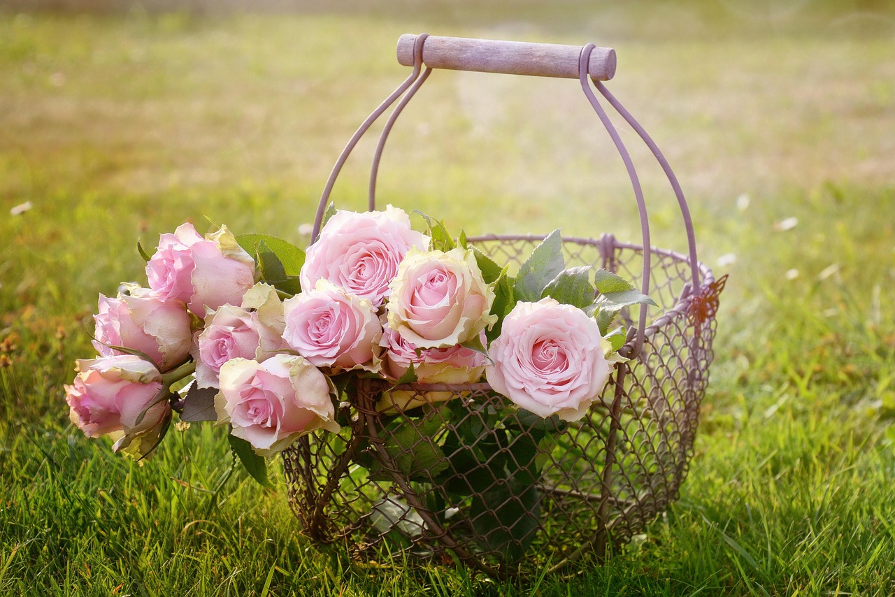 Beautiful flowers