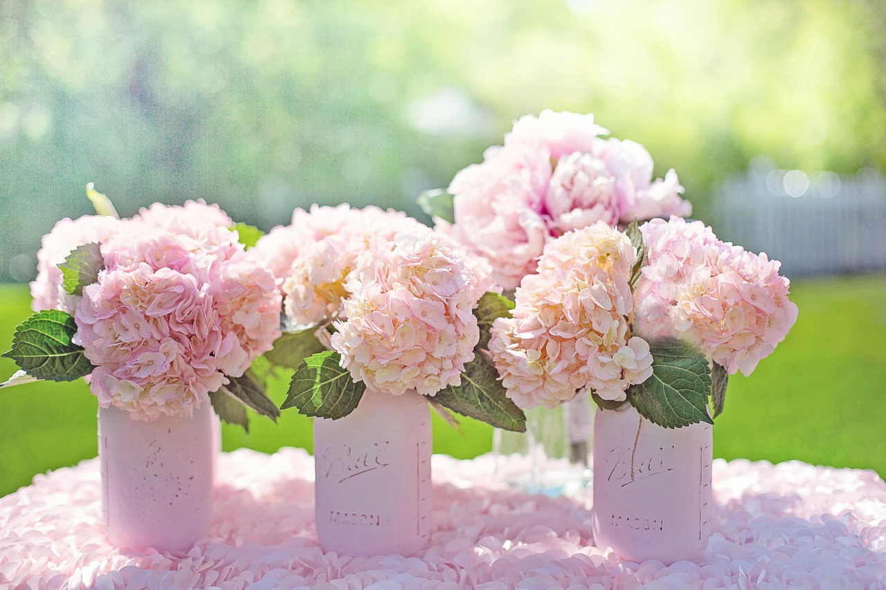 Hydrangea Heaven