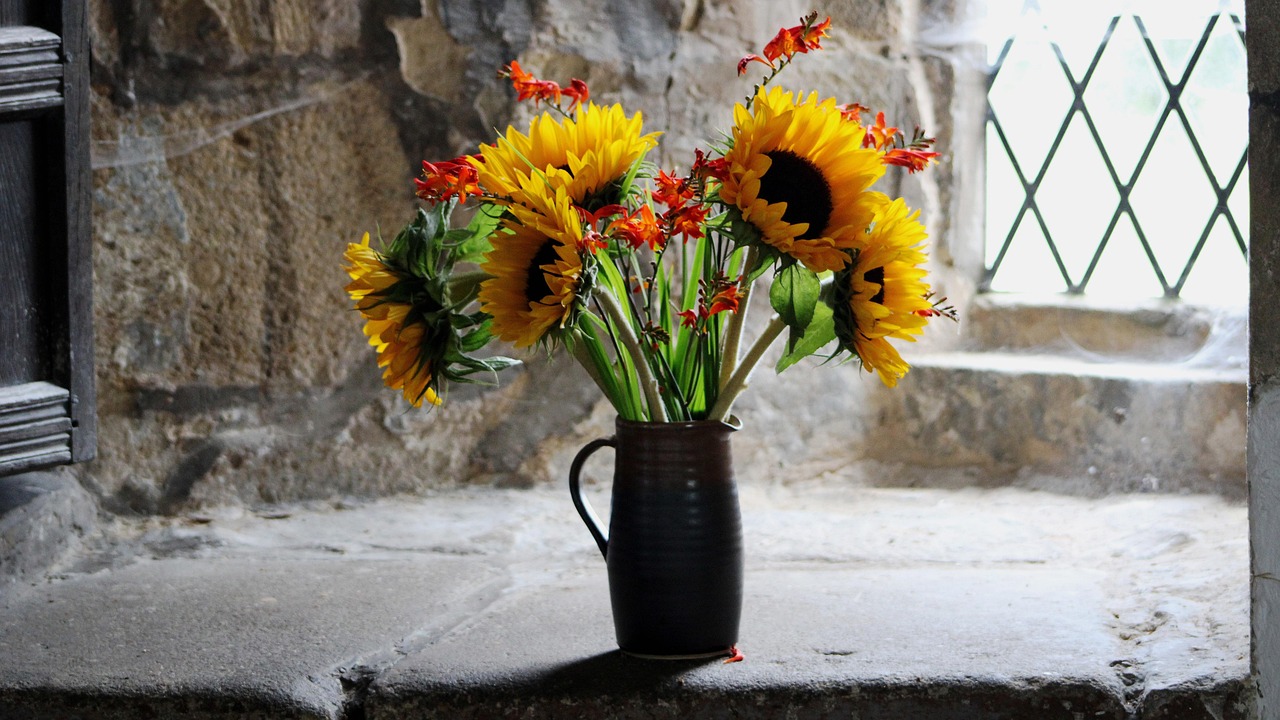 Sunflower Delight